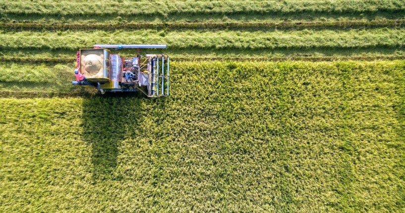 Thái Lan và Việt Nam hợp tác tăng giá gạo xuất khẩu