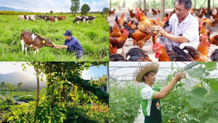 Sắp có thêm chính sách ưu đãi, hỗ trợ kinh tế trang trại