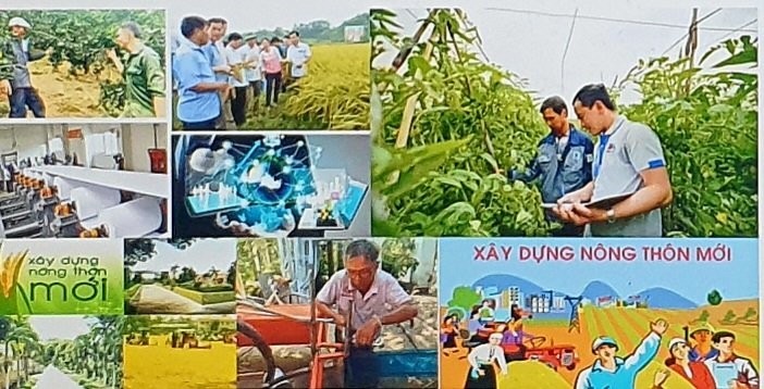Nông dân sản xuất kinh doanh giỏi là nhân tố thúc đẩy kinh tế nông nghiệp