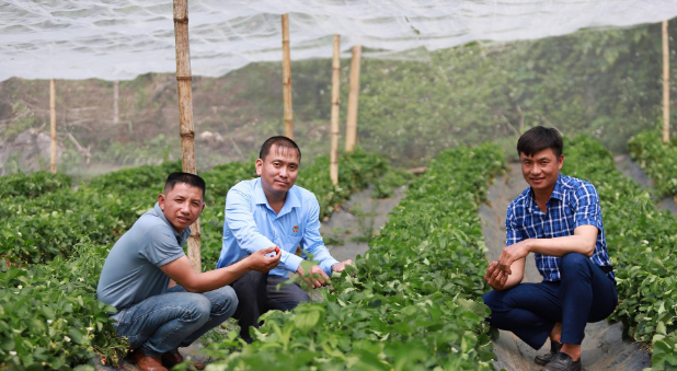 Diễn đàn Nông dân Quốc gia lần thứ VII: 3 lý do phải đẩy nhanh việc "tri thức hóa người nông dân"