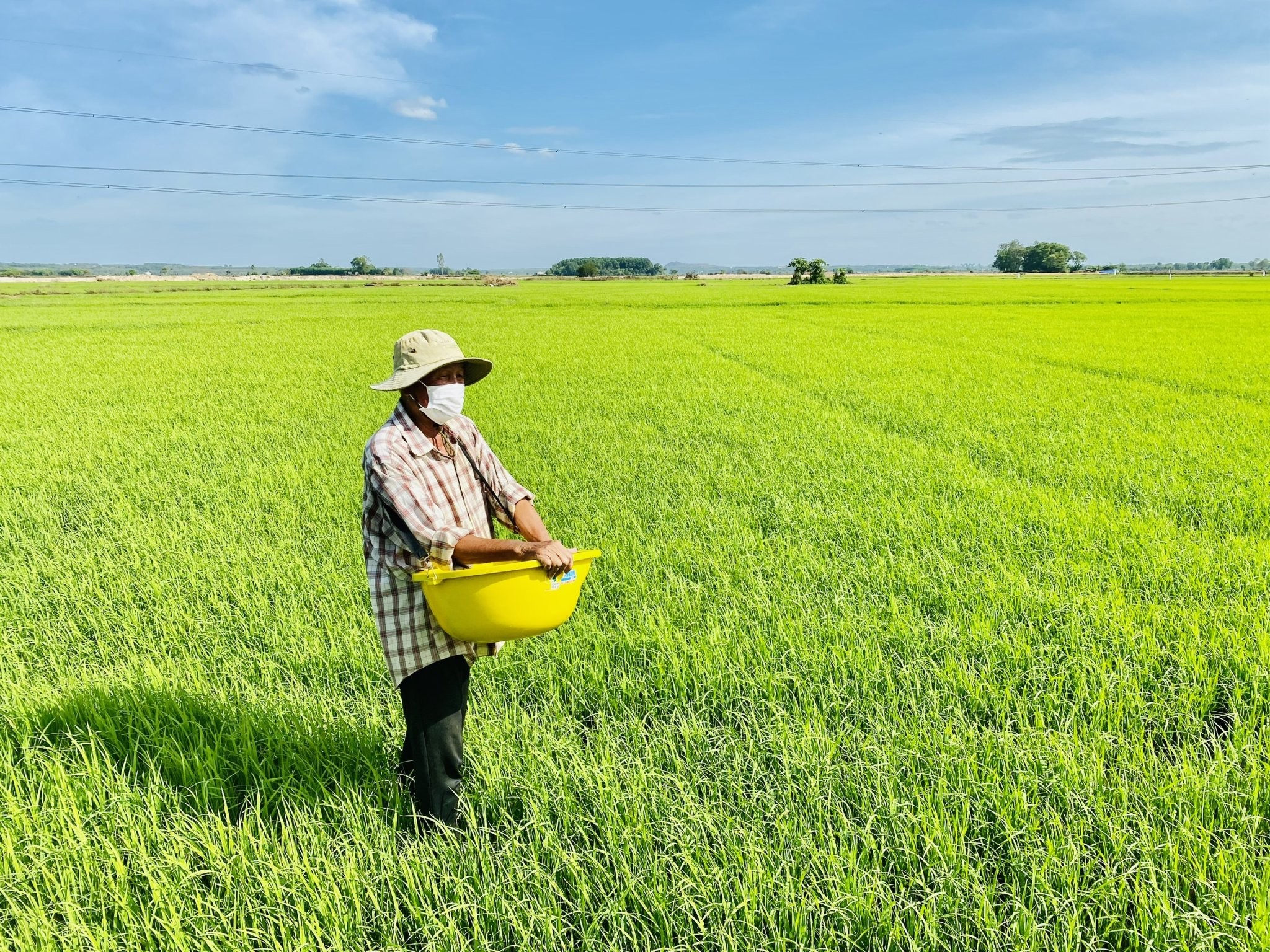 Giáo sư, Viện sĩ Đào Thế Tuấn trong vấn đề Nông nghiệp- Nông dân- Nông thôn và sự nghiệp phát triển đất nước
