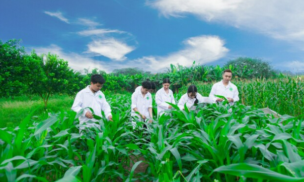 Chuyên nghiệp và hiệu quả, chỉ còn con đường liên kết