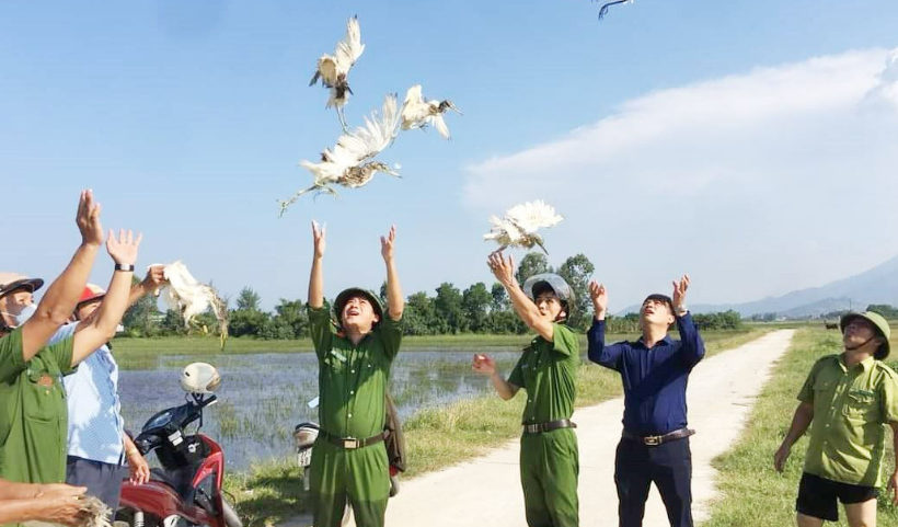Chùm ảnh: Thu giữ hàng nghìn bẫy chim, thả hơn 100 con chim về với tự nhiên