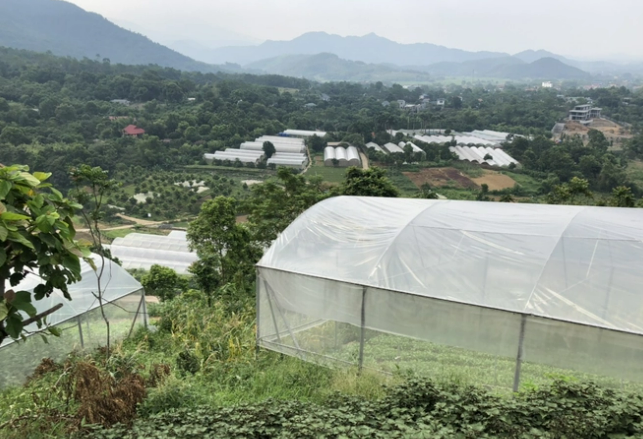 Tiến sĩ Ngô Kiều Oanh hiến kế cho Thủ đô phát triển du lịch nông nghiệp