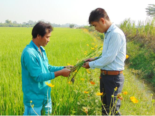 Hành trình dài đến với quản lý sức khỏe cây trồng trồng hợp