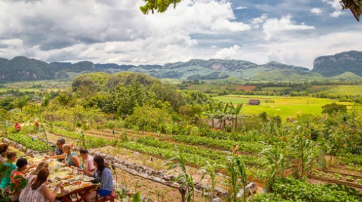 Thúc đẩy kinh tế từ du lịch sinh thái