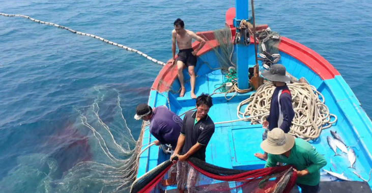 Gỡ thẻ vàng thủy sản: ‘Chạy nước rút’ trước giờ G