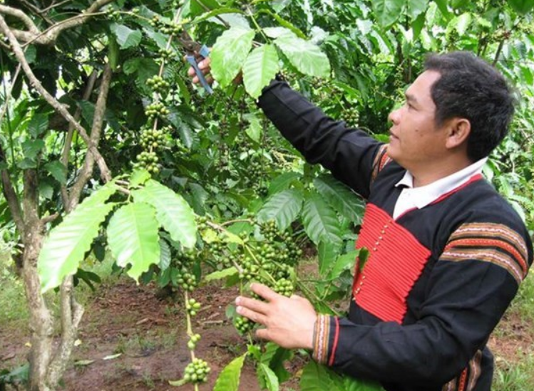'Kích hoạt' tiềm năng vùng Tây Nguyên, phát triển kinh tế xanh