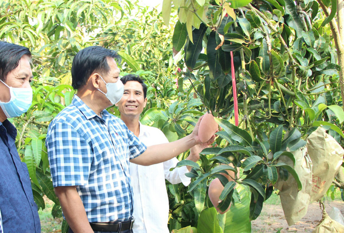 Đổi mới công nghệ, tăng năng suất, nâng cao năng lực cạnh tranh