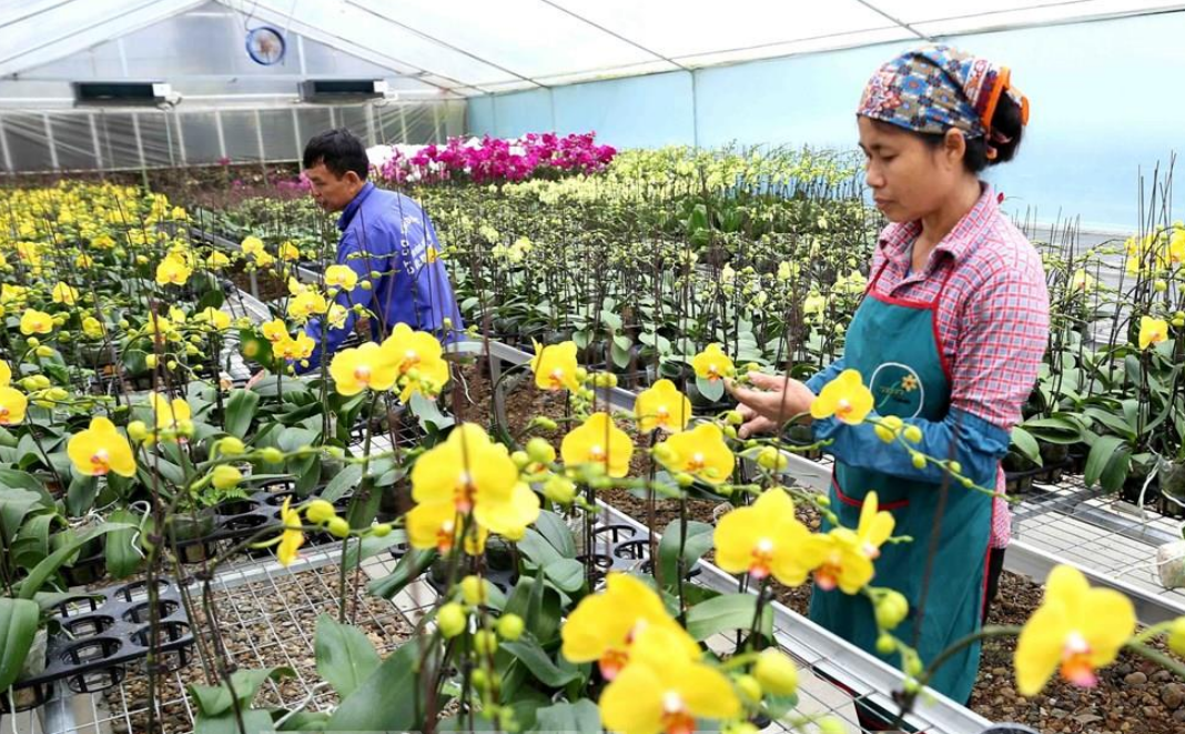 Hành trình không điểm dừng xây dựng nông thôn mới Hà Nội - Bài 2: Tư duy mới trong nông nghiệp