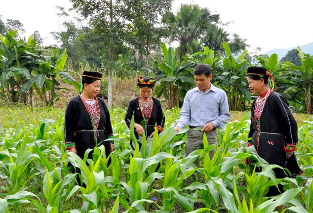Nội dung 10 dự án trọng tâm của Chương trình mục tiêu quốc gia dân tộc thiểu số và miền núi giai đoạn I: 2021- 2025