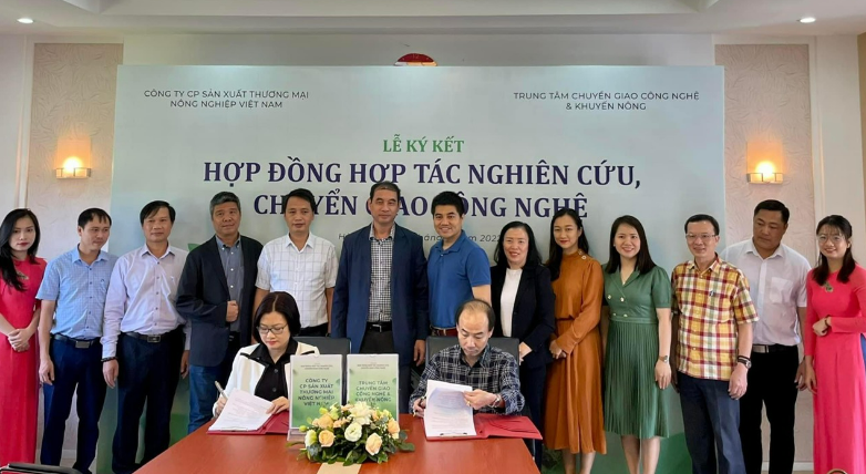 Trung tâm chuyển giao Công nghệ & Khuyến nông hợp tác nghiên cứu, chuyển giao Công nghệ về Sâm mầm