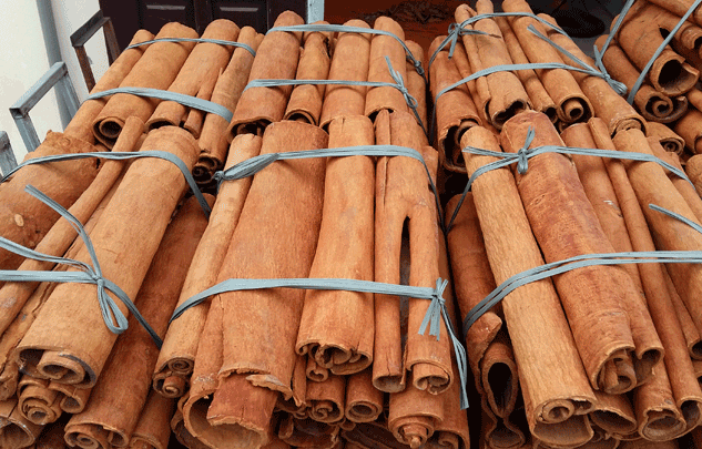 Ấn Độ và Mỹ là thị trường xuất khẩu quế lớn nhất của Việt Nam