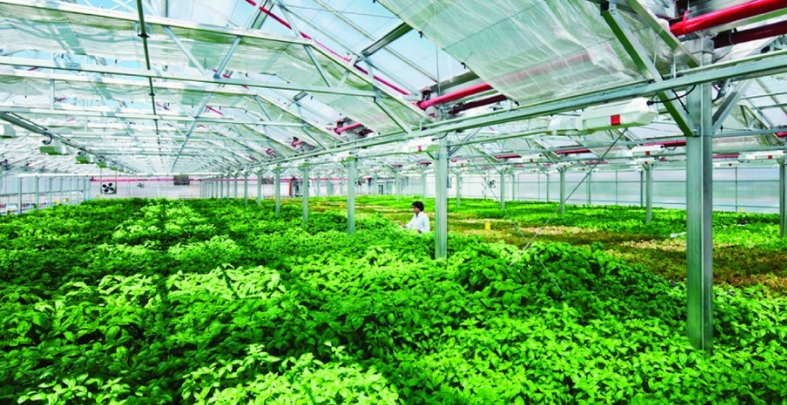 Ứng dụng nông nghiệp thông minh (CSA) và công nghệ cao thích ứng với biến đổi khí hậu tại Việt Nam