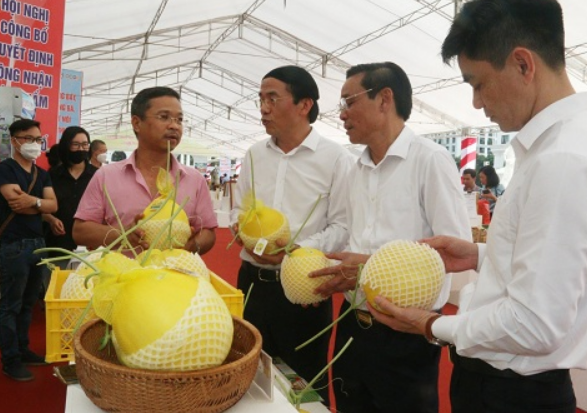 Chương Mỹ (HN): Phát triển mô hình liên kết chuỗi tạo sức bật cho chương trình OCOP