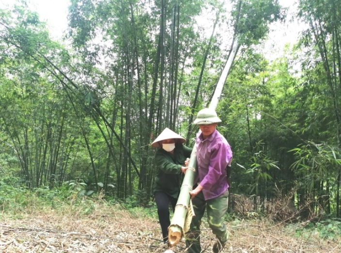 Xứ luồng 'hồi sinh'