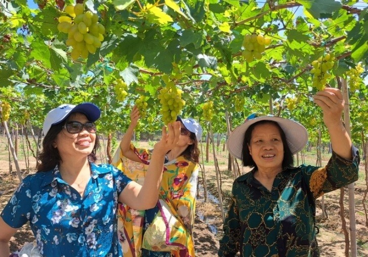 Cách làm khác biệt ở Ninh Thuận