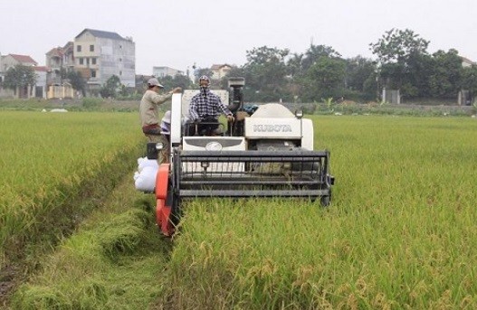 Xã Đồng Phú (Chương Mỹ): Xây dựng nông thôn mới nâng cao lấy nông nghiệp hữu cơ làm nòng cốt