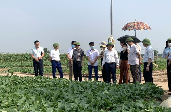 Mê Linh - Hà Nội đạt chuẩn nông thôn mới