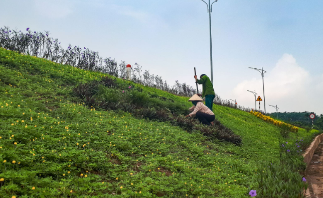 Xã nông thôn mới kiểu mẫu phải hoàn thành mô hình nông thôn thông minh