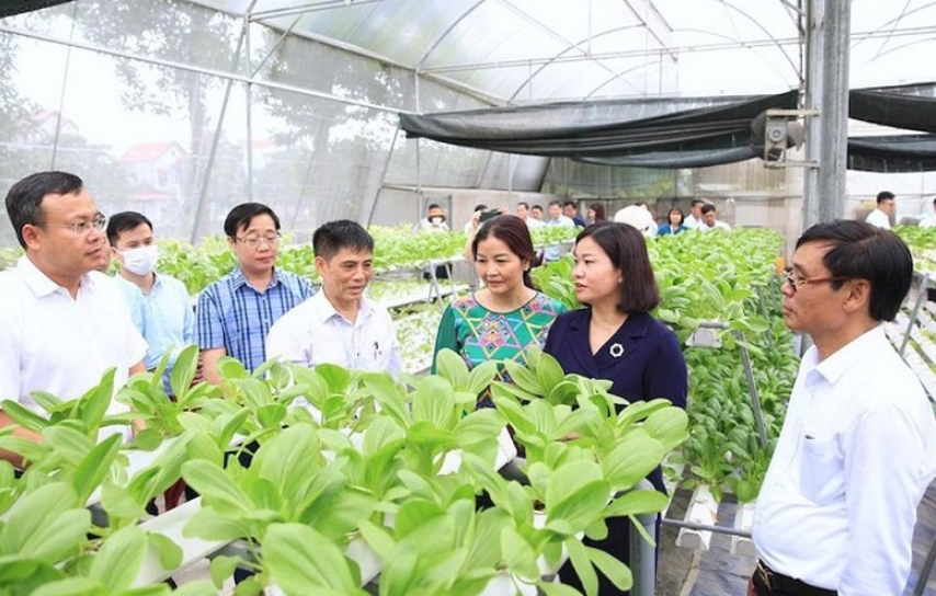 Gia tăng sản xuất, tạo đột phá cho sự tăng trưởng Nông nghiệp Hà Nội