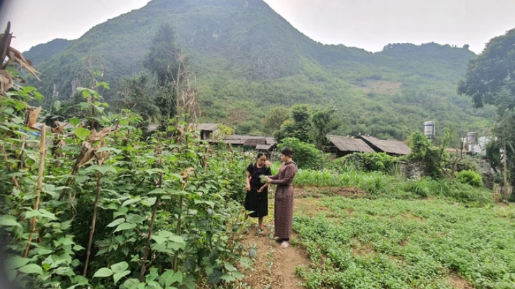 Bà con dân tộc thiểu số phát triển kinh tế nhờ vào "Cải tạo vườn tạp"