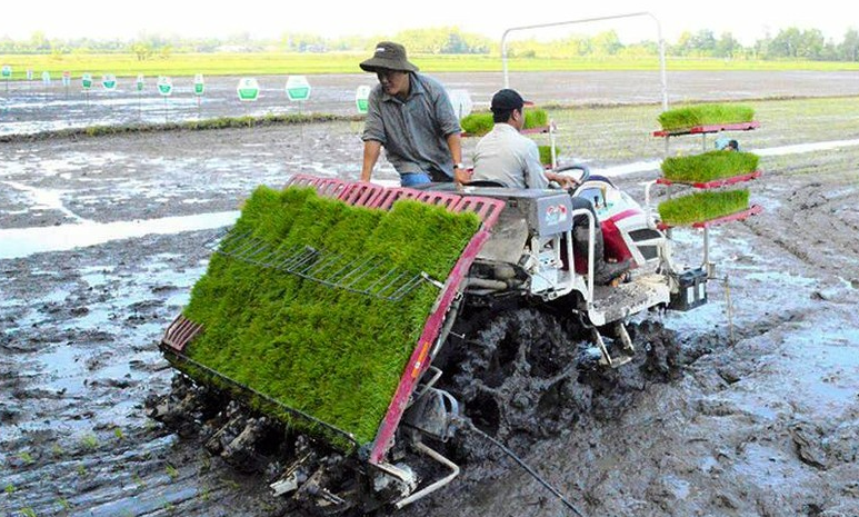 Nhân rộng những mô hình khuyến nông hiệu quả