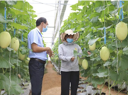 Không thể giàu khi năng suất lao động chưa cao