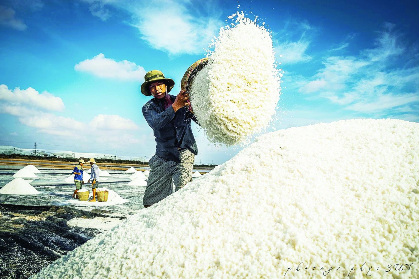 Nâng cao hiệu quả chuỗi giá trị ngành Muối bằng phát triển các hợp tác xã