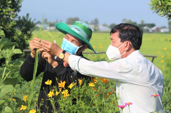 Bảo vệ thực vật là bảo vệ sức khỏe 100 triệu người dân Việt