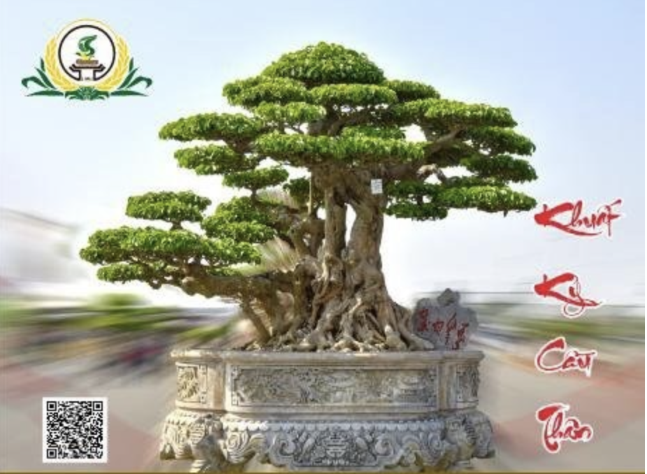 Triển lãm Cây cảnh nghệ thuật Online 2023