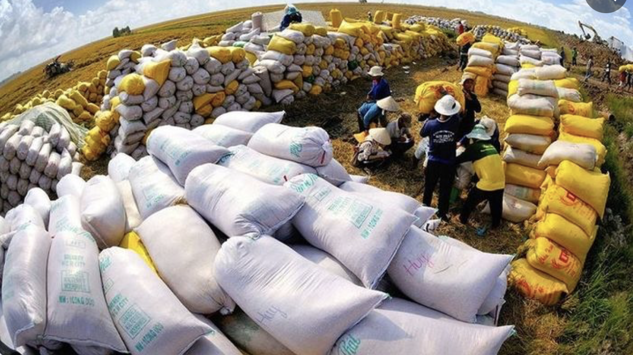 Xuất khẩu 2023: Tiếp tục kỳ vọng đà tăng trưởng