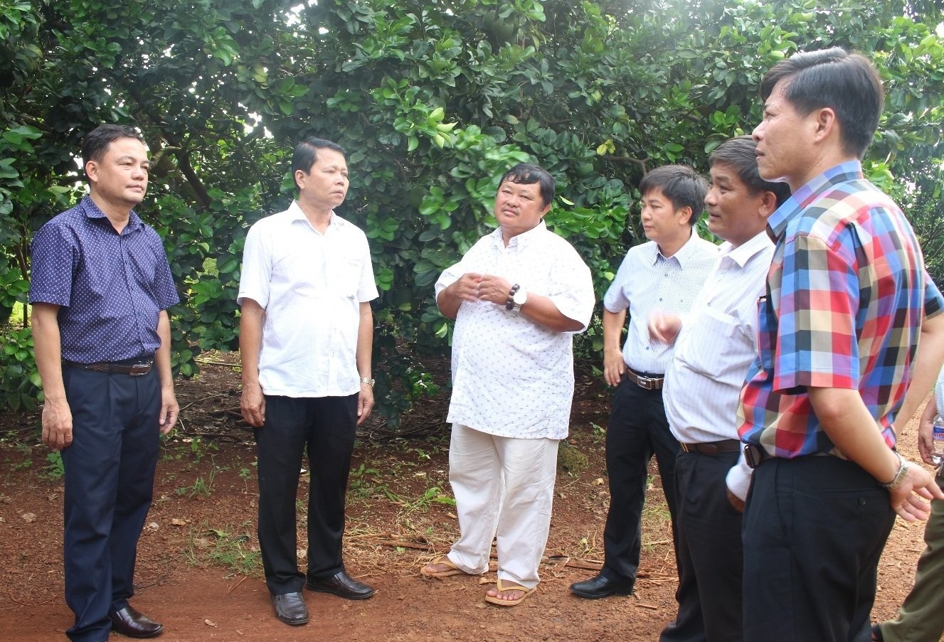 Anh nông dân người Nùng tích cực xây dựng quê hương