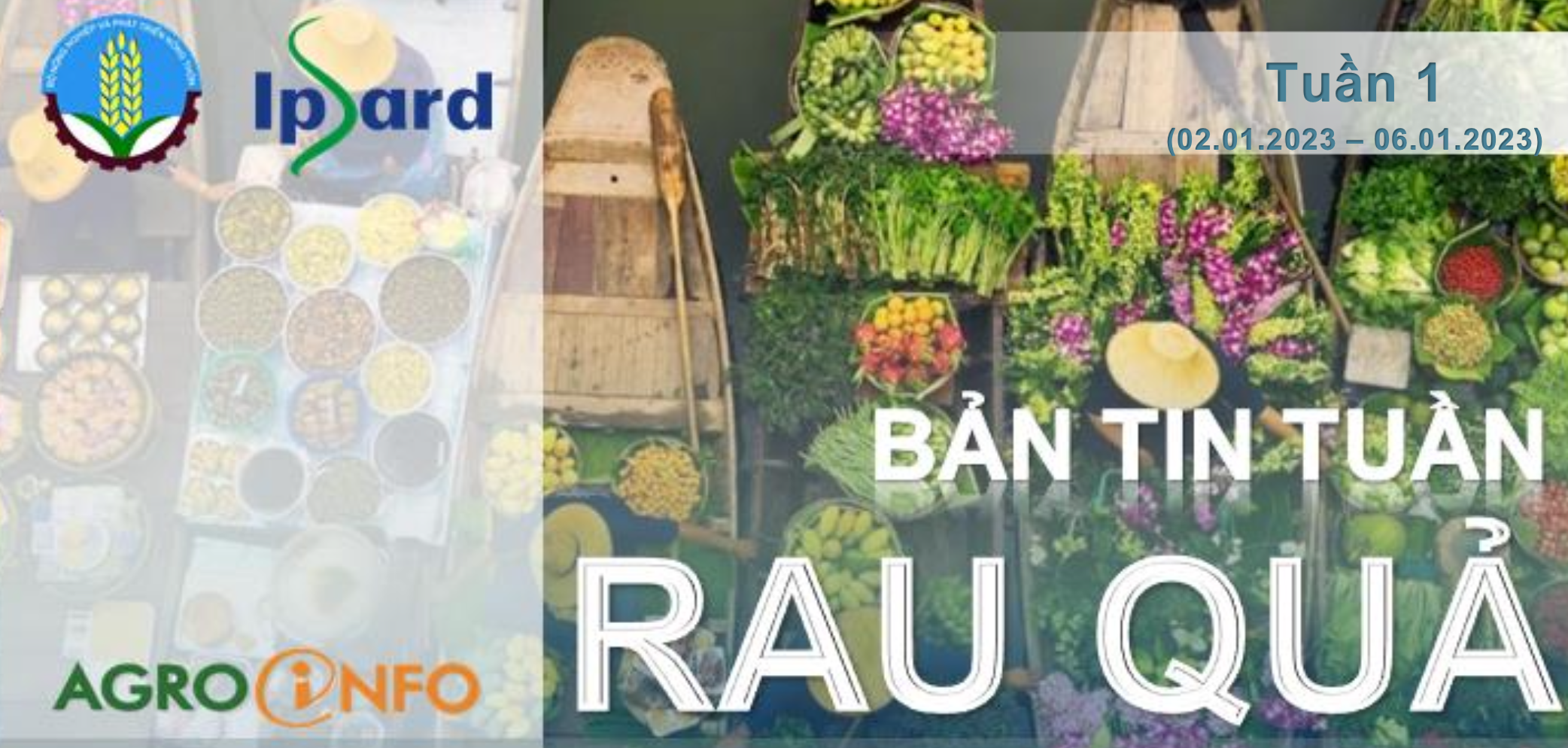 Bản tin rau quả tuần 1 (02/01/2023 - 06/01/2023)