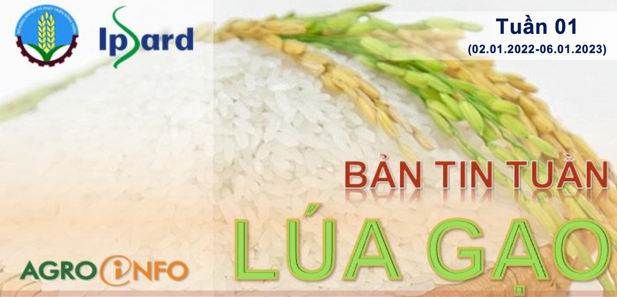 Bản tin lúa gạo tuần 1 (02/01/2023 - 06/01/2023)