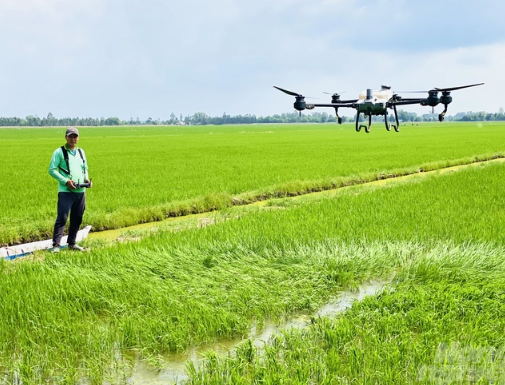 Nông nghiệp An Giang tăng trưởng nhờ làm ăn liên kết với doanh nghiệp