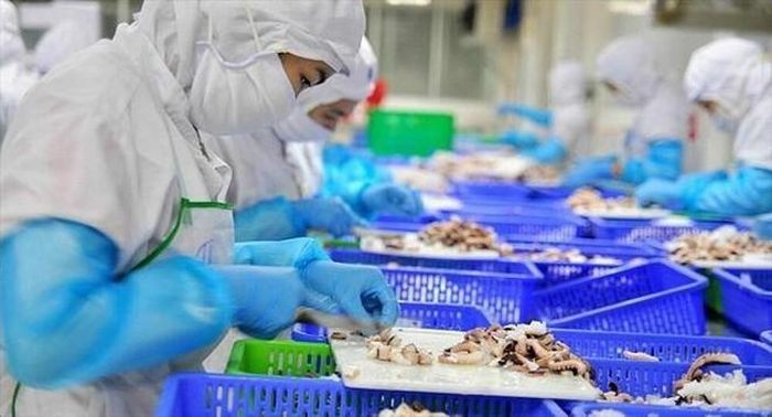 Thủy sản Việt Nam ngoạn mục lọt top 3 thế giới về xuất khẩu