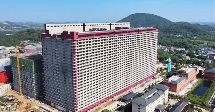 Trang trại khổng lồ nuôi heo cao 26 tầng?