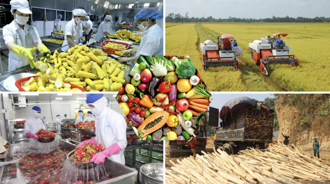 Mũi đột phá: Cần sự đồng bộ