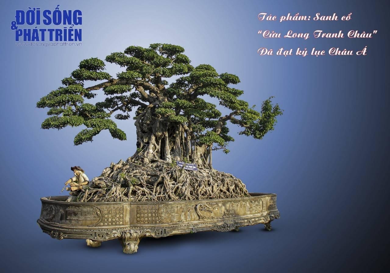 Tác phẩm "Cửu long tranh châu": Bằng chứng của một thú chơi văn hóa có lịch sử lâu đời ở Việt Nam