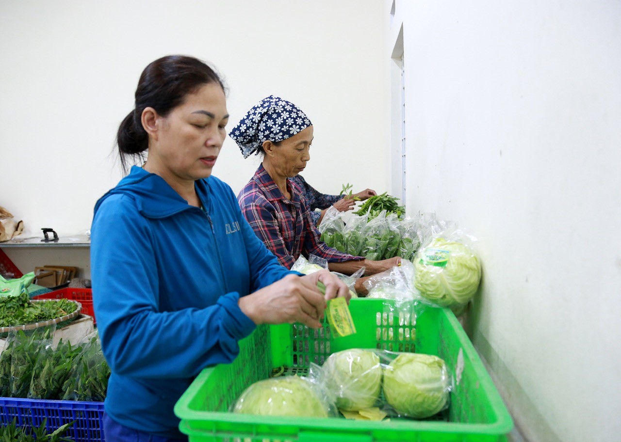 Vĩnh Phúc: Phát triển nền nông nghiệp bền vững, thân thiện với môi trường
