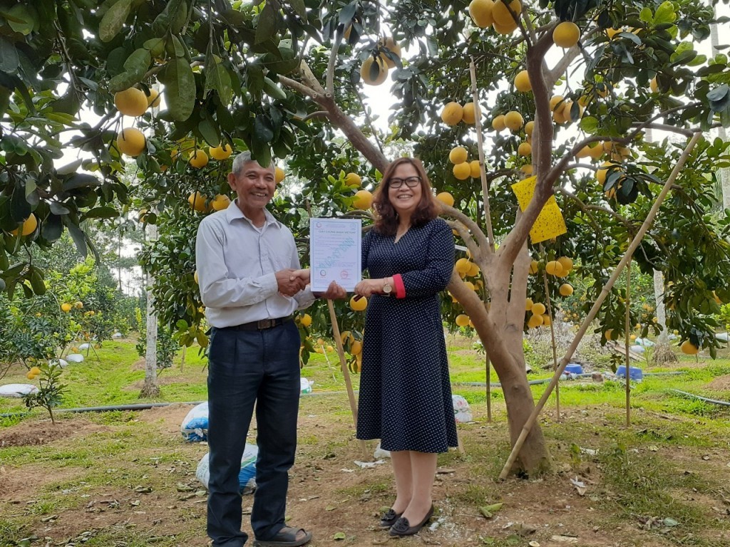 Khẳng định thương hiệu sản phẩm đạt chuẩn 3 sao OCOP