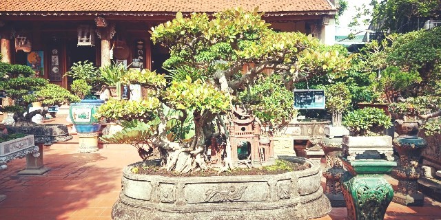 Sản phẩm OCOP sinh vật cảnh