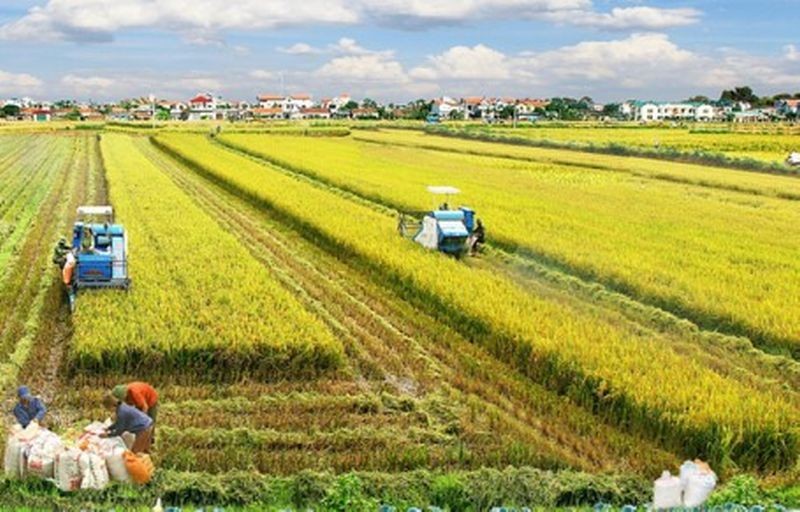EBOOK: Nông nghiệp Đô thị tại khu vực miền Đông Nam Bộ