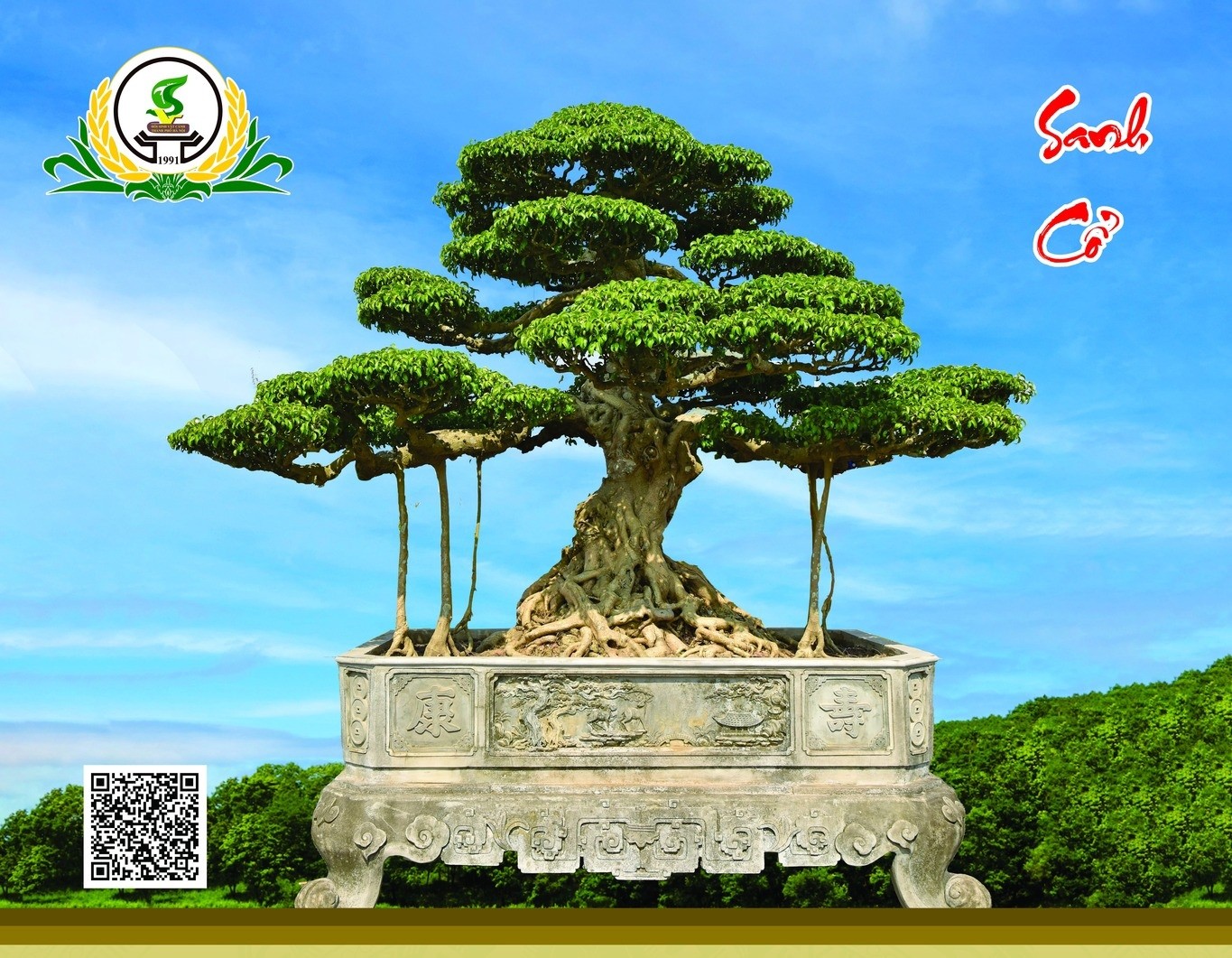 Tác phẩm Sanh cổ của nghệ nhân Minh Hoạt