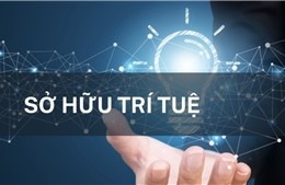Kỹ năng xác lập quyền sở hữu đối với nhãn hiệu, các doanh nghiệp, cá nhân cần biết khi hội nhập
