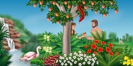 Sự khác nhau giữa đàn Ông - đàn Bà và chìa khoá hạnh phúc ?