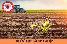 Bộ Tài chính đề nghị tiếp tục miễn thuế sử dụng đất nông nghiệp