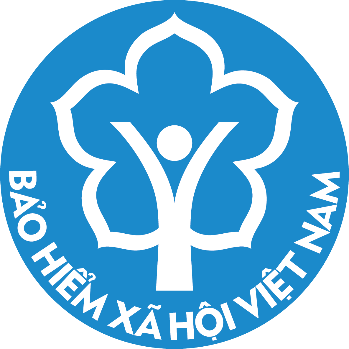 dt1-bhxhvn-logo-1752543528.png