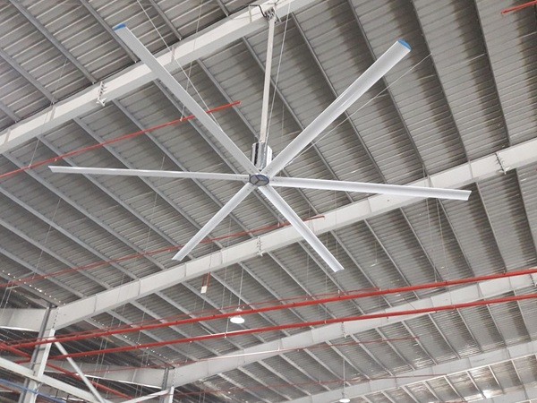 quat-tran-cong-nghiep-hvls-1755601334.jpg